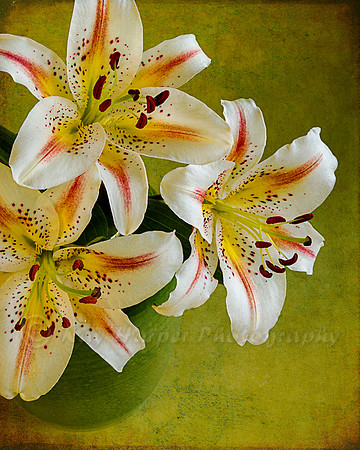 Lilies  on Green