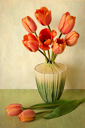 Spring Tilips