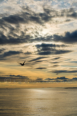 Late Afternoon Light at Deception Pass