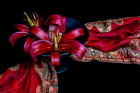 'Forma'Lilies and Scarf