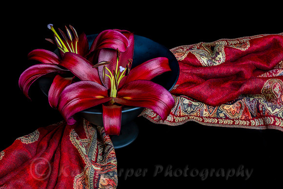 'Forma'Lilies and Scarf