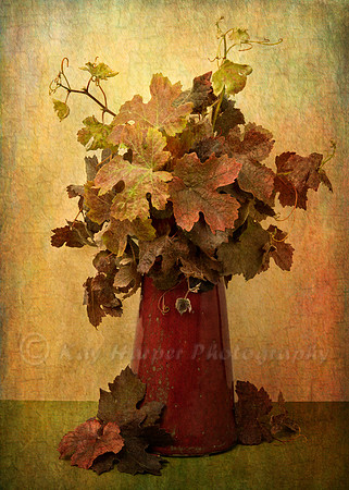 Ornamental Grape Leaves