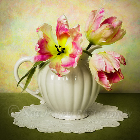 Parrot Tulips and White Pitcher