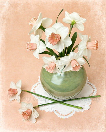 Peach Daffodils