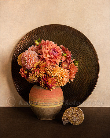 Dahlias and Ammonite