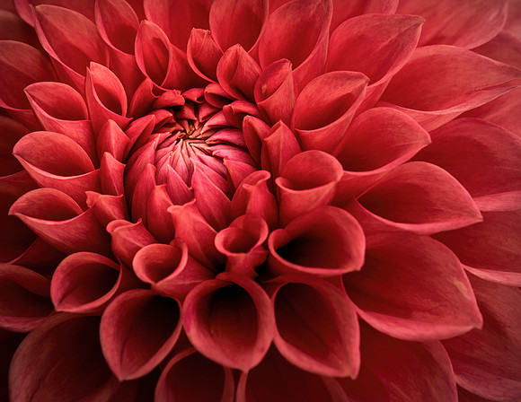_KBH0454-Edit