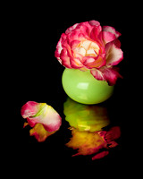 Rose and Petal