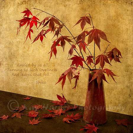 "Red Leaves that Fall"