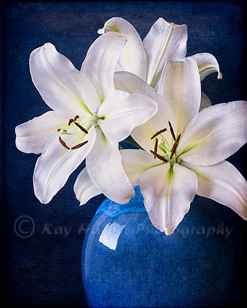 While Lilies on Blue