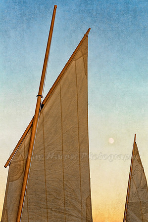 Rising Moon and Sails