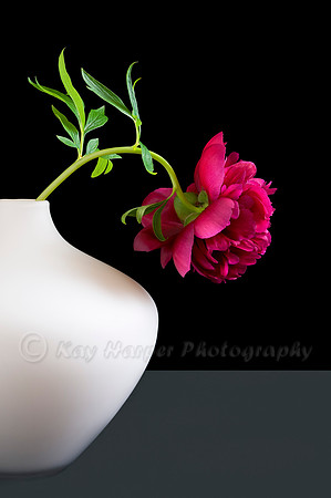 Peony