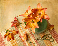 'Easy Beat' Lilies