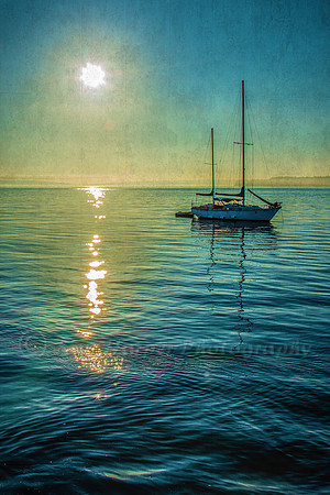 Morning Light